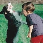 刘招的个人资料头像