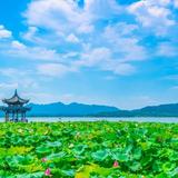 B华年yhao大成头像