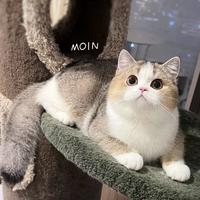 余杭c头像