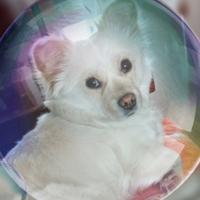 来这里看世界头像