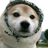 孤独患者头像
