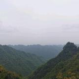 睿智博学多才的小红花头像