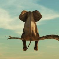 用户2519885428024头像