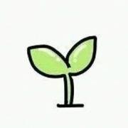 _zZZ的个人资料头像