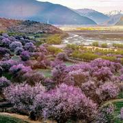 AA心心的个人资料头像