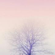 王大宇_的个人资料头像