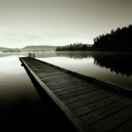 流年的个人资料头像