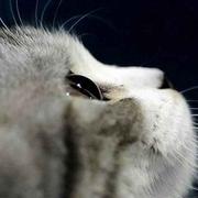 木子橙147的个人资料头像