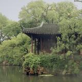 苏州嘉一头像
