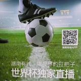 Q爸835头像