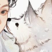 拾柒620的个人资料头像