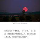 您说的都对的个人资料头像