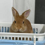 望舒821的个人资料头像