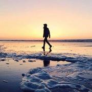 放牛的老王的个人资料头像