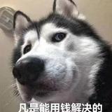超爱看电视的猫头像