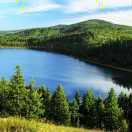 JerryKing的个人资料头像