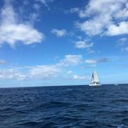 MarkSnape的个人资料头像