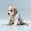 JinX同学的个人资料头像