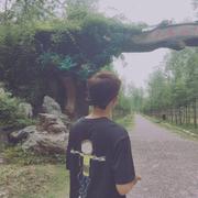 安子235的个人资料头像