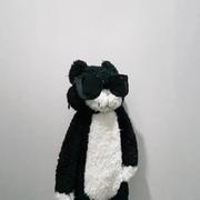 Capybara930的个人资料头像