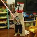 虞甄陶的个人资料头像