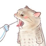 有缘再会179头像