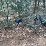 比亚迪交车慢头像