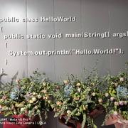 wx_用户155_0226_6662的个人资料头像