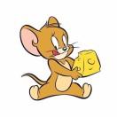 胡韬的个人资料头像