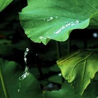 听海难注册头像