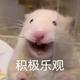 用户1528882868128头像
