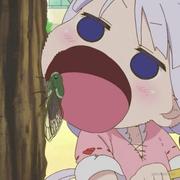 魔法少女蕊蕊的个人资料头像