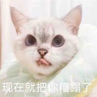 slc的小迷弟头像