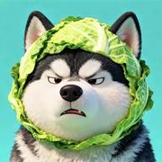 小屋啊_的个人资料头像