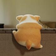 卷不过就跑的菜狗的个人资料头像