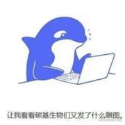 ZavonFly的个人资料头像