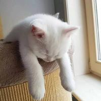 憨憨6385头像