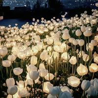 干脆锅巴de头像