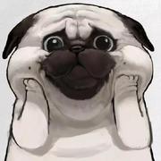 kyz1607的个人资料头像