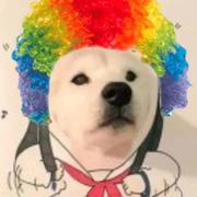 用户3814374379379的个人资料头像