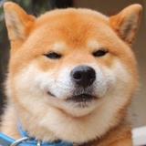 关七111头像
