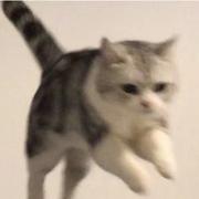 Garfield_的个人资料头像
