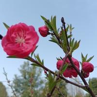 老徐家的小棉袄保暖头像