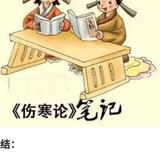 WO1342919头像