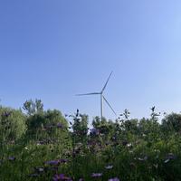 yang屹兴小同学头像