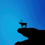 Asta的个人资料头像