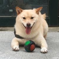 用户3823972392568头像