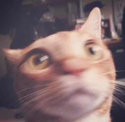 jade_only的个人资料头像