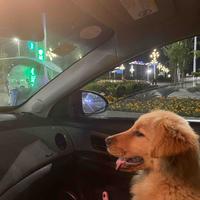 萍6257628987852头像