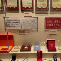 纪录片真实生活头像